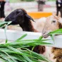 搜索 - 一号娱乐