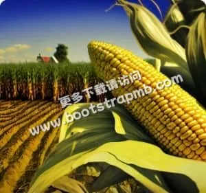 專注高效率生產流程 - 一号娱乐